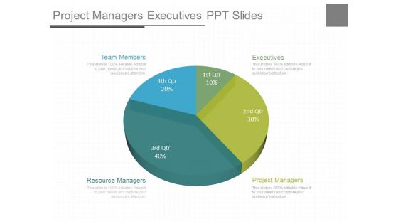 Project Managers Executives Ppt Slides
