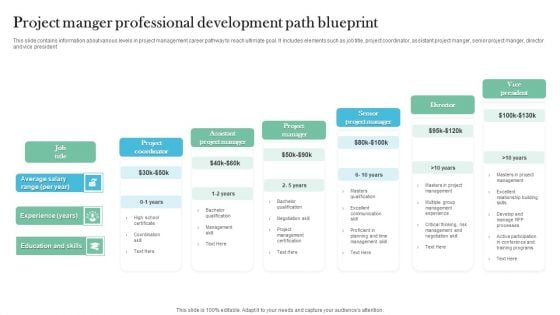 Project Manger Professional Development Path Blueprint Brochure PDF