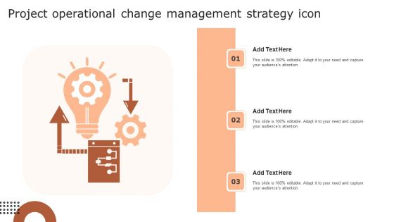 Project Operational Change Management Strategy Icon Icons PDF