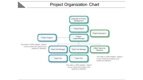 Project Organization Chart Ppt PowerPoint Presentation Summary Elements