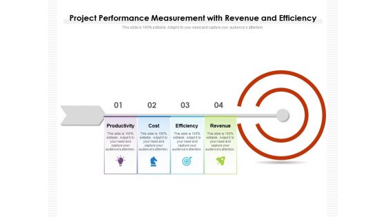 Project Performance Measurement With Revenue And Efficiency Ppt PowerPoint Presentation Infographics Elements PDF