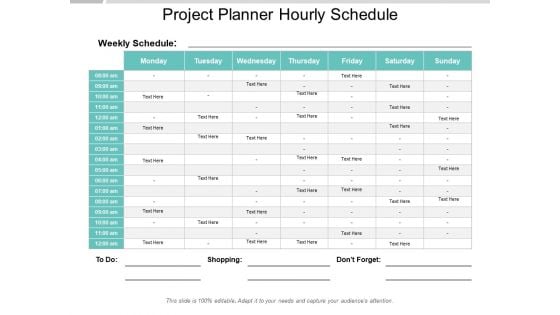 Project Planner Hourly Schedule Ppt PowerPoint Presentation Model