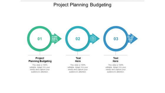 Project Planning Budgeting Ppt PowerPoint Presentation Pictures Samples Cpb