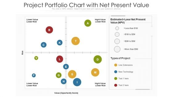 Project Portfolio Chart With Net Present Value Ppt Professional Infographic Template PDF