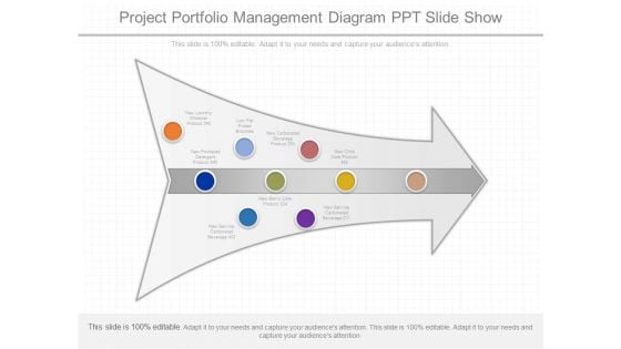 Project Portfolio Management Diagram Ppt Slide Show