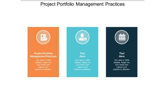 Project Portfolio Management Practices Ppt PowerPoint Presentation Layouts Graphics Template Cpb