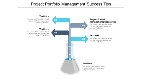 Project Portfolio Management Success Tips Ppt PowerPoint Presentation Layouts Picture Cpb Pdf