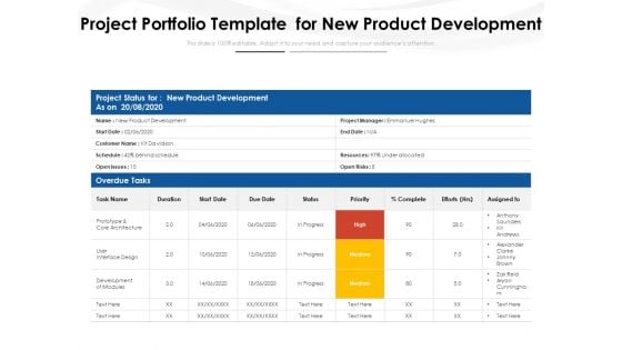 Project Portfolio Template For New Product Development Ppt PowerPoint Presentation Summary Structure PDF