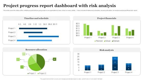 Project Progress Report Dashboard With Risk Analysis Ppt Examples PDF