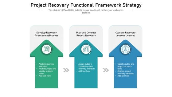 Project Recovery Functional Framework Strategy Ppt PowerPoint Presentation File Portfolio PDF