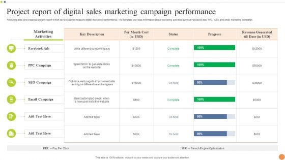 Project Report Of Digital Sales Marketing Campaign Performance Professional PDF