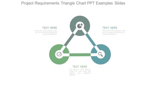 Project Requirements Triangle Chart Ppt Examples Slides