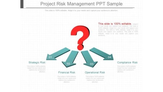 Project Risk Management Ppt Sample