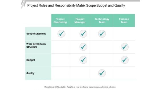 Project Roles And Responsibility Matrix Scope Budget And Quality Ppt Powerpoint Presentation Summary Structure