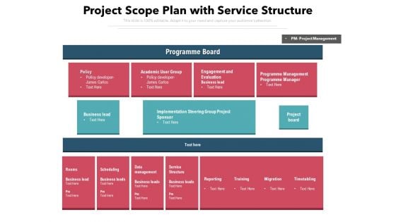 Project Scope Plan With Service Structure Ppt PowerPoint Presentation Icon Tips PDF