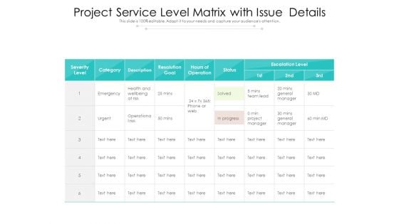 Project Service Level Matrix With Issue Details Ppt PowerPoint Presentation Gallery Layouts PDF