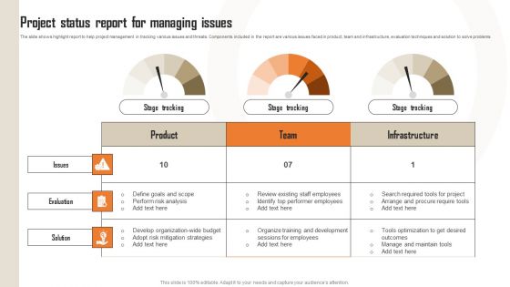 Project Status Report For Managing Issues Mockup PDF