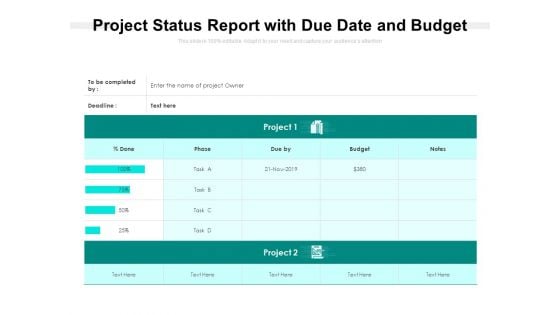 Project Status Report With Due Date And Budget Ppt PowerPoint Presentation Layouts Gallery PDF