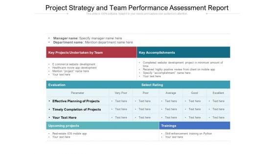 Project Strategy And Team Performance Assessment Report Ppt PowerPoint Presentation Portfolio Infographic Template PDF