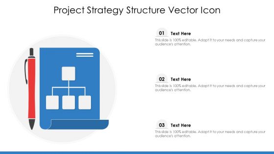 Project Strategy Structure Vector Icon Ppt PowerPoint Presentation Icon Deck PDF