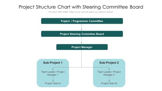 Project Structure Chart With Steering Committee Board Ppt PowerPoint Presentation File Examples PDF