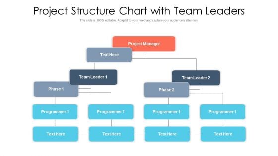 Project Structure Chart With Team Leaders Ppt PowerPoint Presentation Gallery Visuals PDF