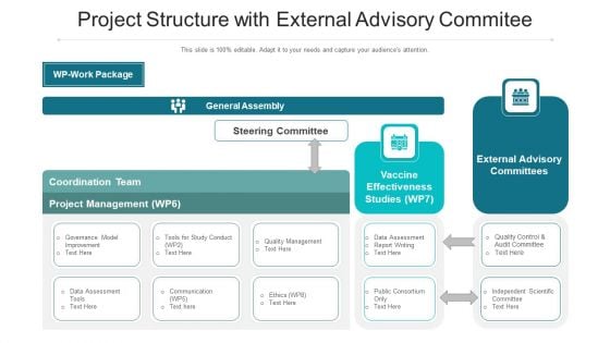 Project Structure With External Advisory Commitee Ppt PowerPoint Presentation File Slides PDF