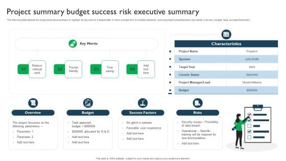 Project Summary Budget Success Risk Executive Summary Brochure PDF