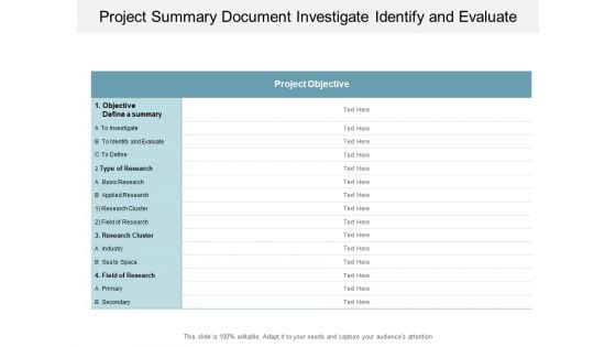 Project Summary Document Investigate Identify And Evaluate Ppt PowerPoint Presentation Infographic Template Picture