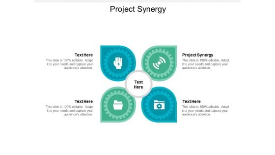 Project Synergy Ppt PowerPoint Presentation Icon Examples Cpb