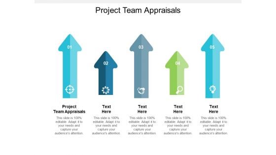 Project Team Appraisals Ppt PowerPoint Presentation Styles Tips Cpb