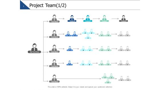 Project Team Communication Ppt PowerPoint Presentation Professional Slideshow
