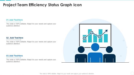 Project Team Efficiency Status Graph Icon Diagrams PDF