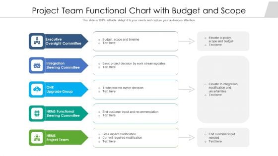 Project Team Functional Chart With Budget And Scope Ppt PowerPoint Presentation File Layout PDF