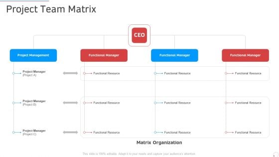 Project Team Matrix Manufacturing Control Ppt Pictures Guide PDF