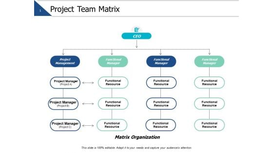 Project Team Matrix Ppt PowerPoint Presentation Styles Design Inspiration