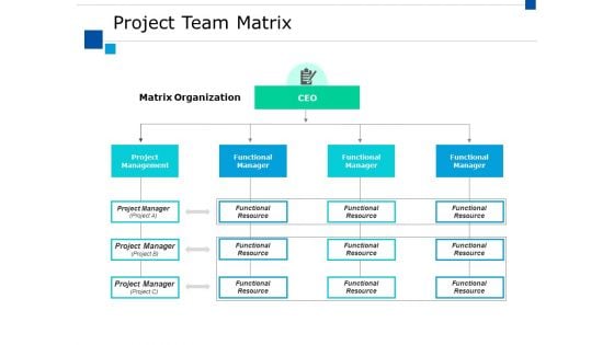 Project Team Matrix Ppt PowerPoint Presentation Visual Aids Backgrounds