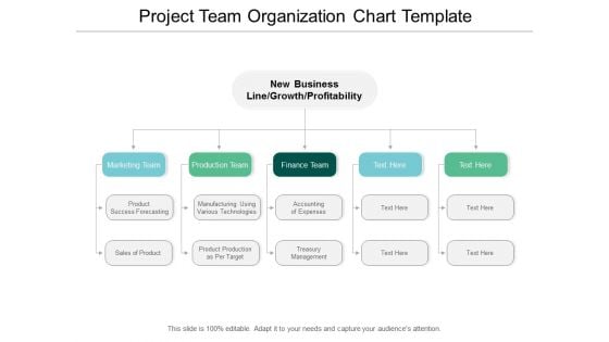 Project Team Organization Chart Template Ppt PowerPoint Presentation Outline Guide