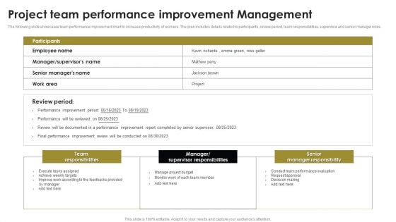 Project Team Performance Improvement Management Sample PDF