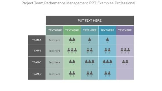 Project Team Performance Management Ppt Examples Professional