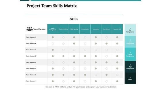 Project Team Skills Matrix Ppt PowerPoint Presentation Pictures Layout