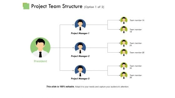 Project Team Structure Ppt PowerPoint Presentation Inspiration Show