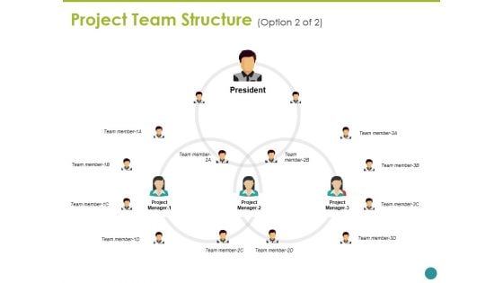 Project Team Structure Ppt PowerPoint Presentation Layouts Background Project Team Structure Ppt PowerPoint Presentation Layouts Background