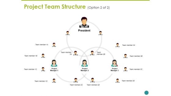 Project Team Structure Ppt PowerPoint Presentation Layouts Background