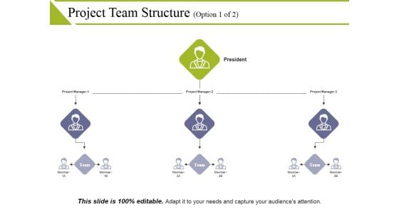 Project Team Structure Template 1 Ppt PowerPoint Presentation Icon Graphics Example