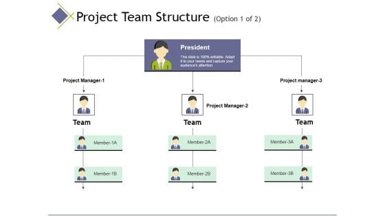 Project Team Structure Template 1 Ppt PowerPoint Presentation Model Demonstration