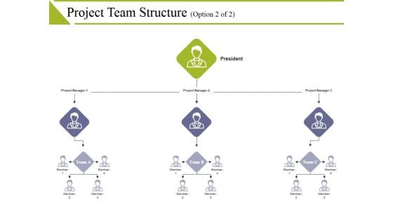 Project Team Structure Template 2 Ppt PowerPoint Presentation Infographic Template Themes