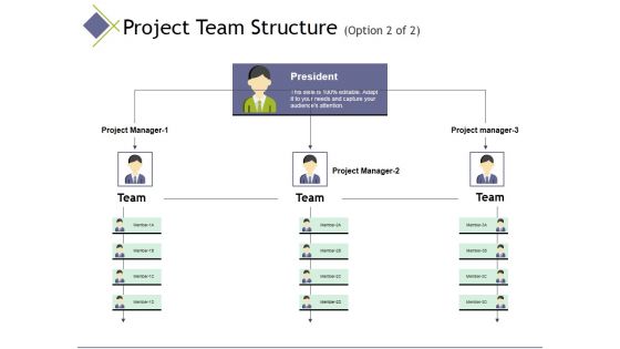 Project Team Structure Template 2 Ppt PowerPoint Presentation Infographics Ideas Project Team Structure Template 2 Ppt PowerPoint Presentation Infographics Ideas