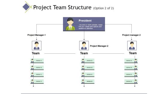 Project Team Structure Template 2 Ppt PowerPoint Presentation Infographics Ideas