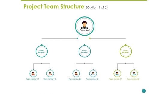 Project Team Structure Template Ppt PowerPoint Presentation Outline Graphic Tips